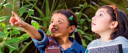 STEM and Outdoor Journeys and badges are here! STEM and Outdoor Journeys and badges are here!