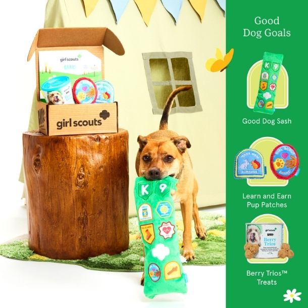 Fall Product is Here! 